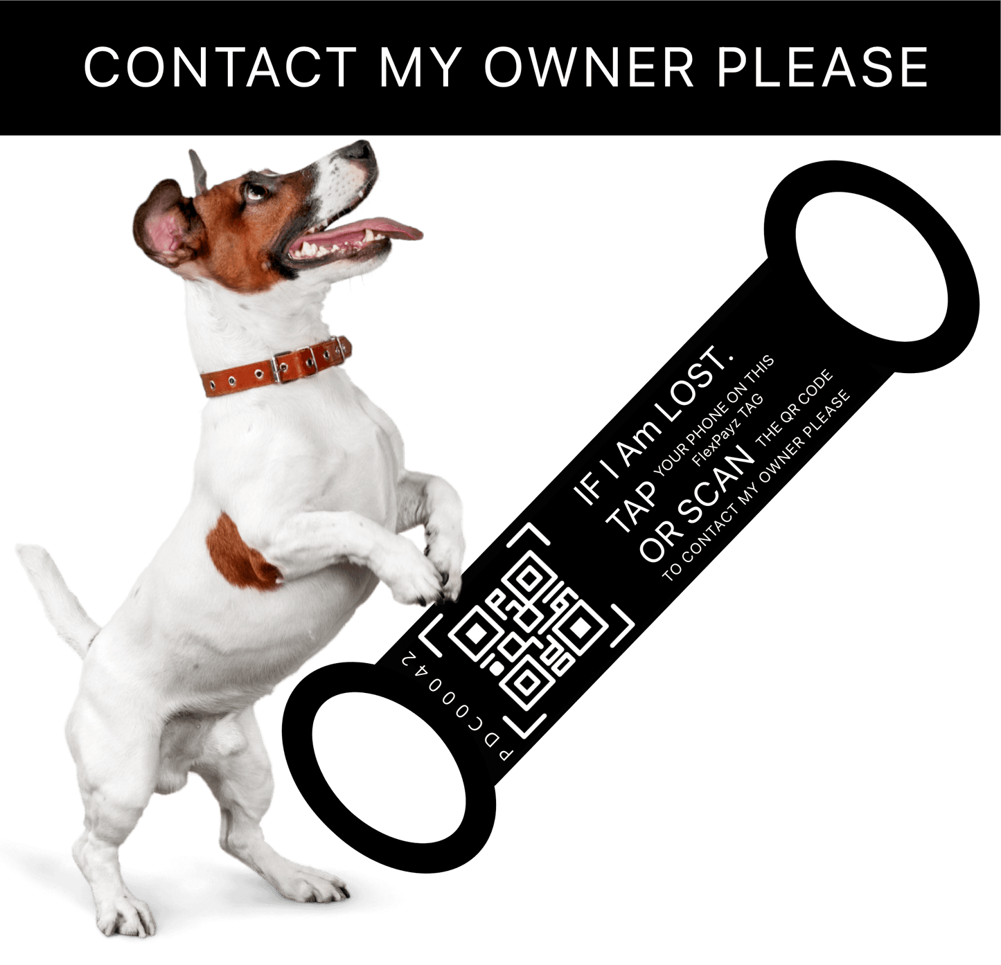 PT-1 Pack-3 Take me home back, FlexPayz Bracelet Dogs & Cats