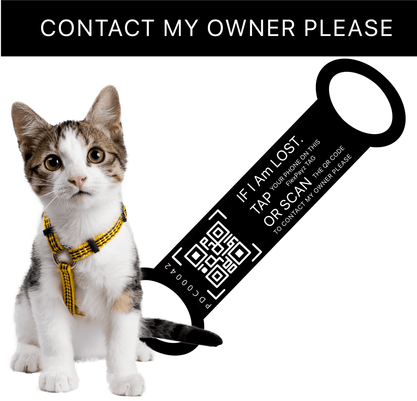 PT-1 Pack-3 Take me home back, FlexPayz Bracelet Dogs & Cats