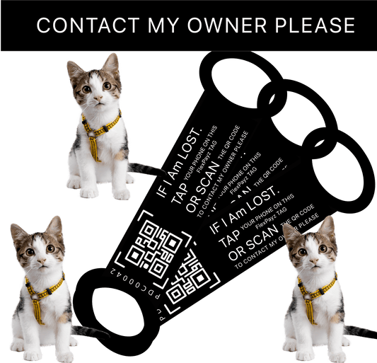 PT-1 Pack-3 Ta mig hem tillbaka, kontaktlöst digitalt FlexPayz-armband för hundar och katter