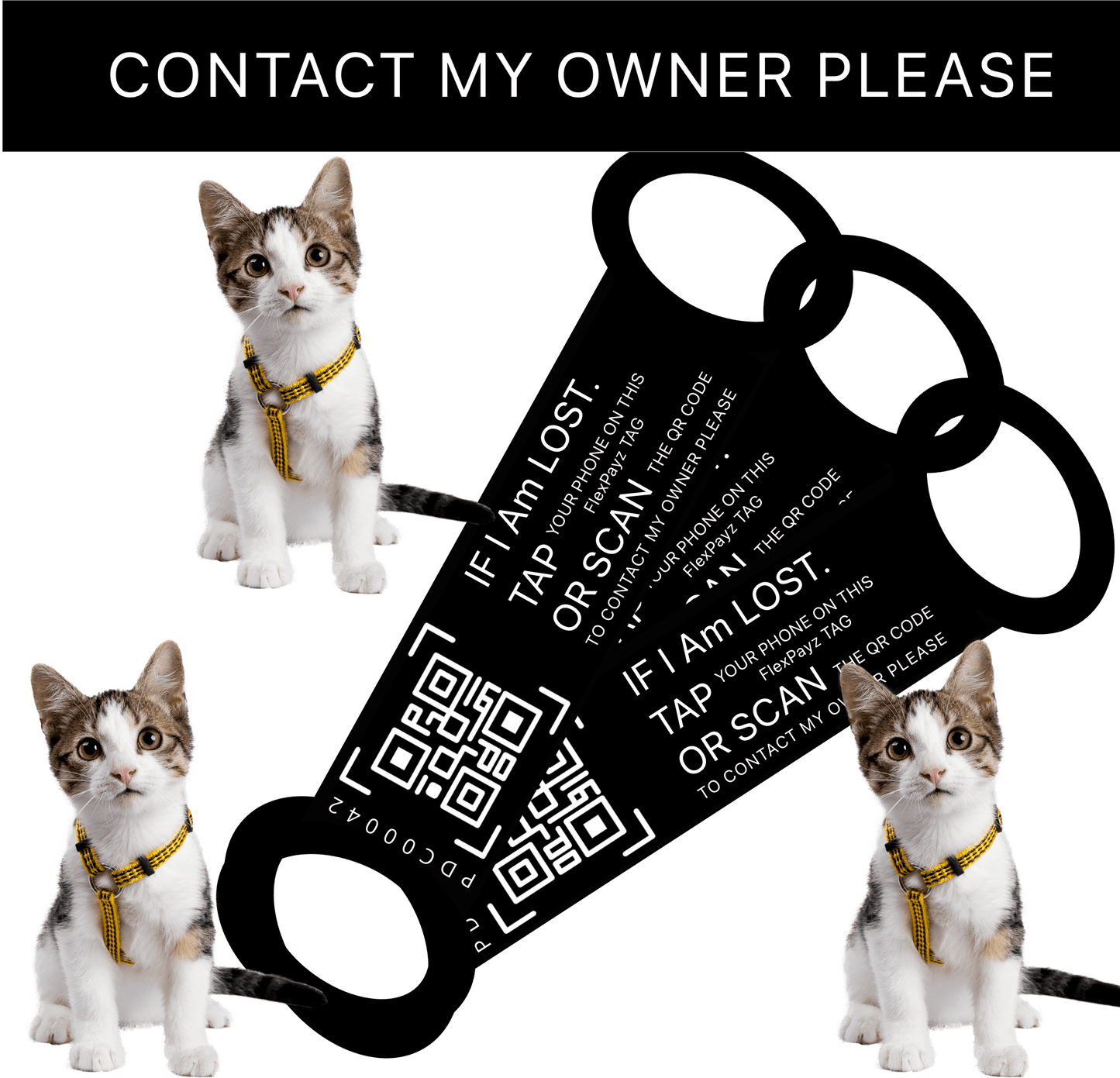 PT-1 Pack-3 Take me home back, FlexPayz  Bracelet Dogs & Cats