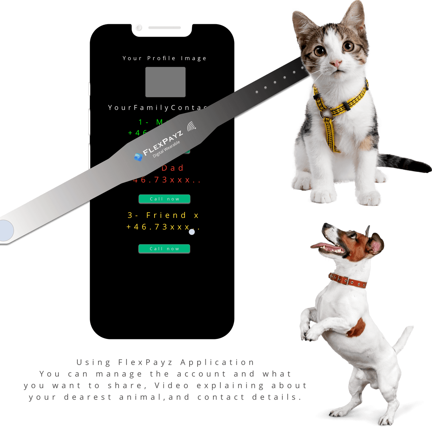 PT-1 kontaktlöst digitalt FlexPayz-armband för hundar och katter