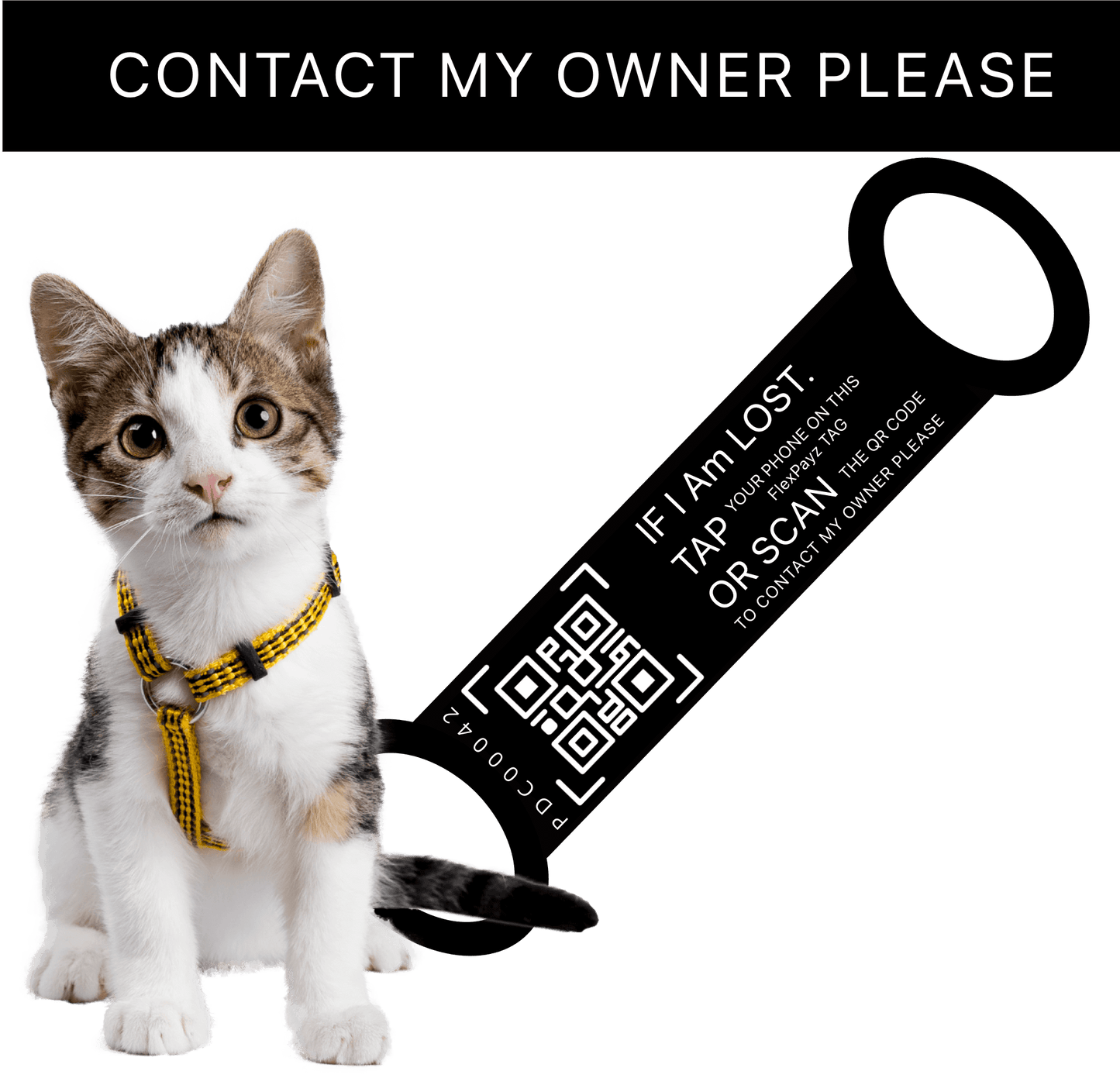 PT-1 kontaktlöst digitalt FlexPayz-armband för hundar och katter